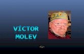 Metamorphosis Victor molev