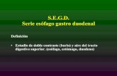 6serie Esofago Gastroduodenal