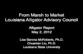 Louisiana Alligator Advisory Council 2012 Alligator Report