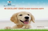 40 Excellent Ideas to Keep Your Dog Happy