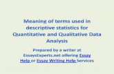 Essay Help: Meaning of terms used in descriptive statistics for