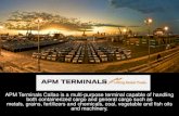 Visit APM Terminal-Callao
