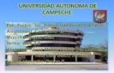 web 2.0 universidad autonoma de campeche