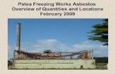 Patea Freezing Works Asbestos 23 Feb09