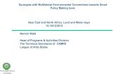 Synergies with Multilateral Environmental Conventions towards Smart  Policy Making tools