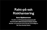 Rakt-på-sak Riskhantering (Presentation från Rådhusets föredrag 2014-08-28)