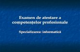 Examen de atestare a competenţelor profesionale
