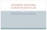 Examen sistema cardiovascular