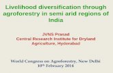 Session 1.4 livelihood diversification through agroforestry in india