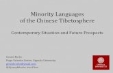 Minority Languages of the Chinese Tibetosphere: Contemporary Situation and Future Prospects