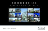 MLM Building Services Consulting Industry - Commercial Brochure