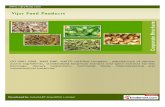 Vijay Food Products, Jodhpur, Boswellia Extract