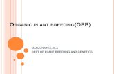 Organic plant breeding