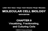 Molecular Cell Biology Lodish 6th.ppt - Chapter 9   visualizing, fractionating, and culturing cells