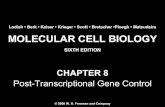 Molecular Cell Biology Lodish 6th.ppt - Chapter 8   post-transcriptional gene control