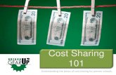 Cost Sharing 101