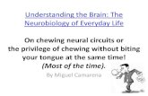 Coursera neurobiology