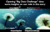 Opening “Big Data Challenge” data: some insights on our role in the story