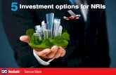 5 Investment Options for NRIs