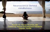 Neuroscience behind mindfulness seminole state college