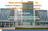 Neurointervention in hemorrhagic and ischaemic stroke