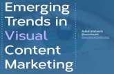 Emerging Trends in Visual Content Marketing with Adam Helweh
