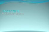 TANZANITE - An Extraordinary Gemstone