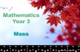 Mathematics Year 3_Mass