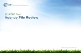 Agency File Review (OC & SF DDDs)