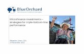 BlueOrchard Finance SA - Microfinance investments – strategies for triple-bottom-line performance