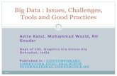 Big data issues challenges tools n good practices