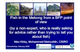 Fish in the Mekong from a BFP point of view