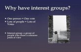 Why have interest groups