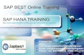 SAP HANA Online Training India Hyderabad | SAP HANA Project Support |SAP HANA Training in India