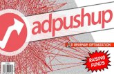 AdPushup Fundraising Deck - Angel Round