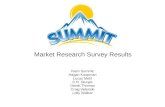 Venture Lab 2012 - Team Summit Market Survey