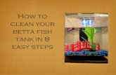 How to Clean Your Betta Fish Tank in 8 Easy Steps
