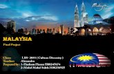 Malaysia Project