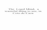 In Coto de Caza, the Legal Mind, What A Wasteful Thing to Use