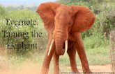 Evernote: Taming the Elephant
