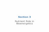 Section+3+bioenergetics (1)