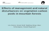 Effects of management and natural disturbances on vegetation carbon pools in mountain forests [Urs Gimmi]
