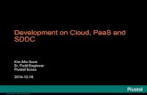 Development on Cloud,PaaS and SDDC