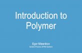 Introduction to Polymer