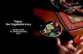 Tagua, The Vegetal Ivory