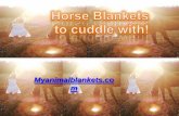 Horse blankets to cuddle with