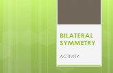 Bilateral symmetry 1 ESO ACTIVITY