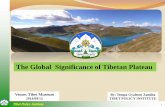 Global significance of tibet
