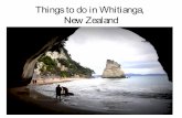 Things to Do in Whitianga