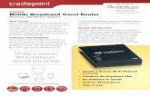 CTR350 Cradlepoint Product Brochure (quantum-wireless.com)